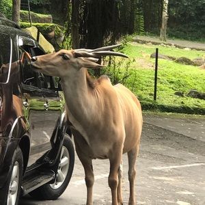 Meet your Posher, Nidia